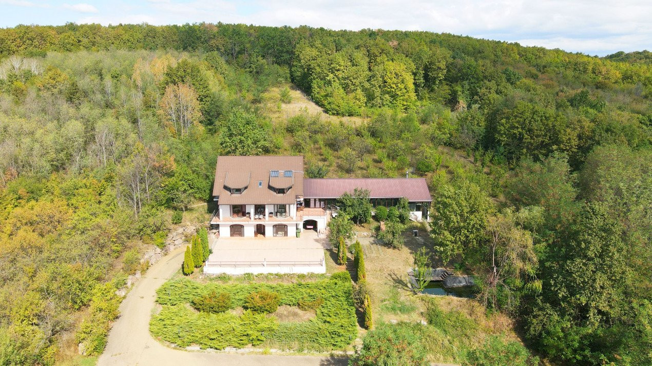 Hidden Hills Villa. Un Mansion House inconjurat de padure