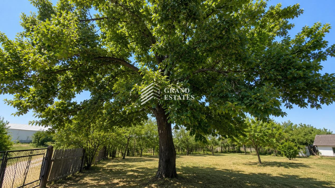 Casa batraneasca de vanzare in Obedeni, jud. Giurgiu – teren intravilan 2.500mp