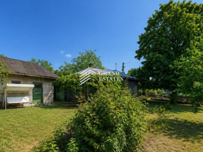 Casa batraneasca de vanzare in Obedeni, jud. Giurgiu – teren intravilan 2.500mp